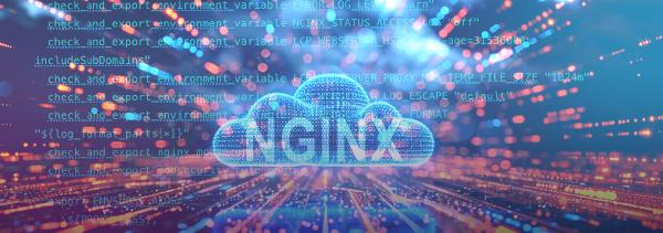 Article_NGINX copie.jpg